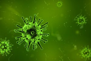 Virus